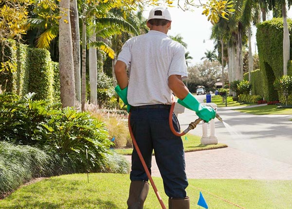 About Manlius NY Pest Control